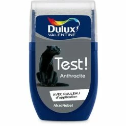 Testeur Couleur Anthracite 30 ML - Peinture Dulux Valentine - Anthracite
