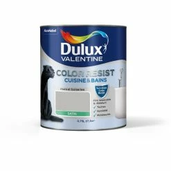 Peinture Couleur - Color Resist Cuisine & Bains - Dulux Valentine